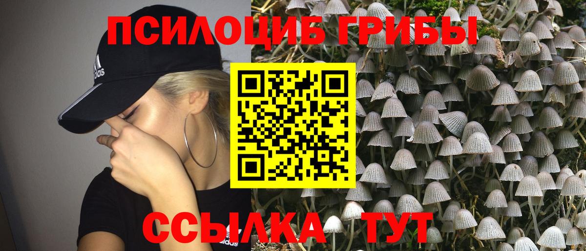 Бор  Псилоцибиновые грибы Psilocybe  цена наркотик  Вход с VPN 
