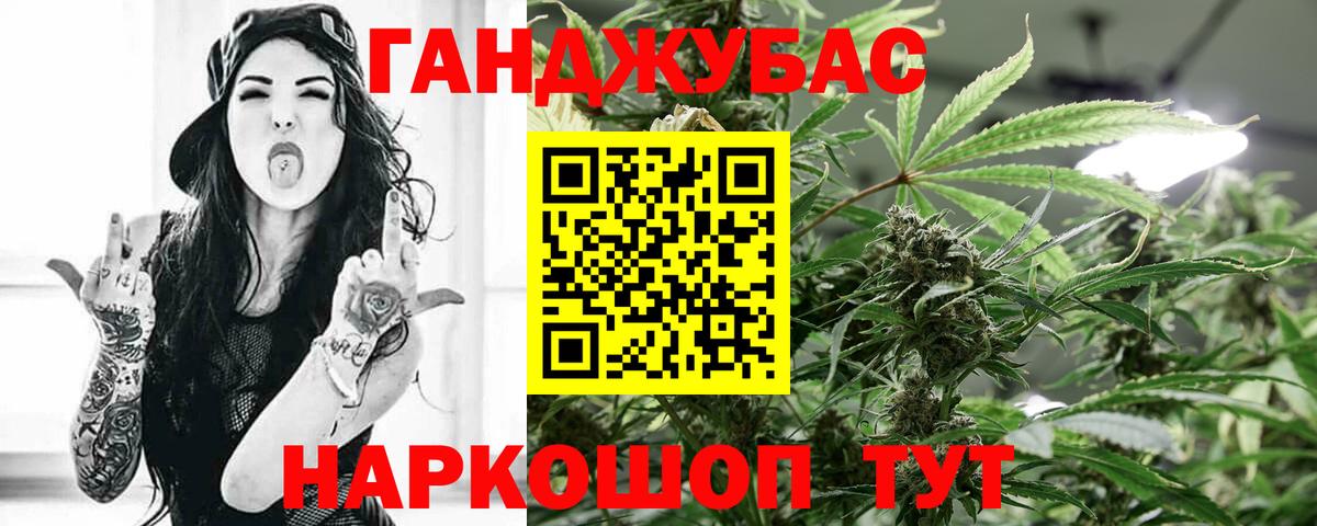 Бор  Каннабис сатива  Вход с VPN  Марихуана Amnesia  Бошки Шишки план 